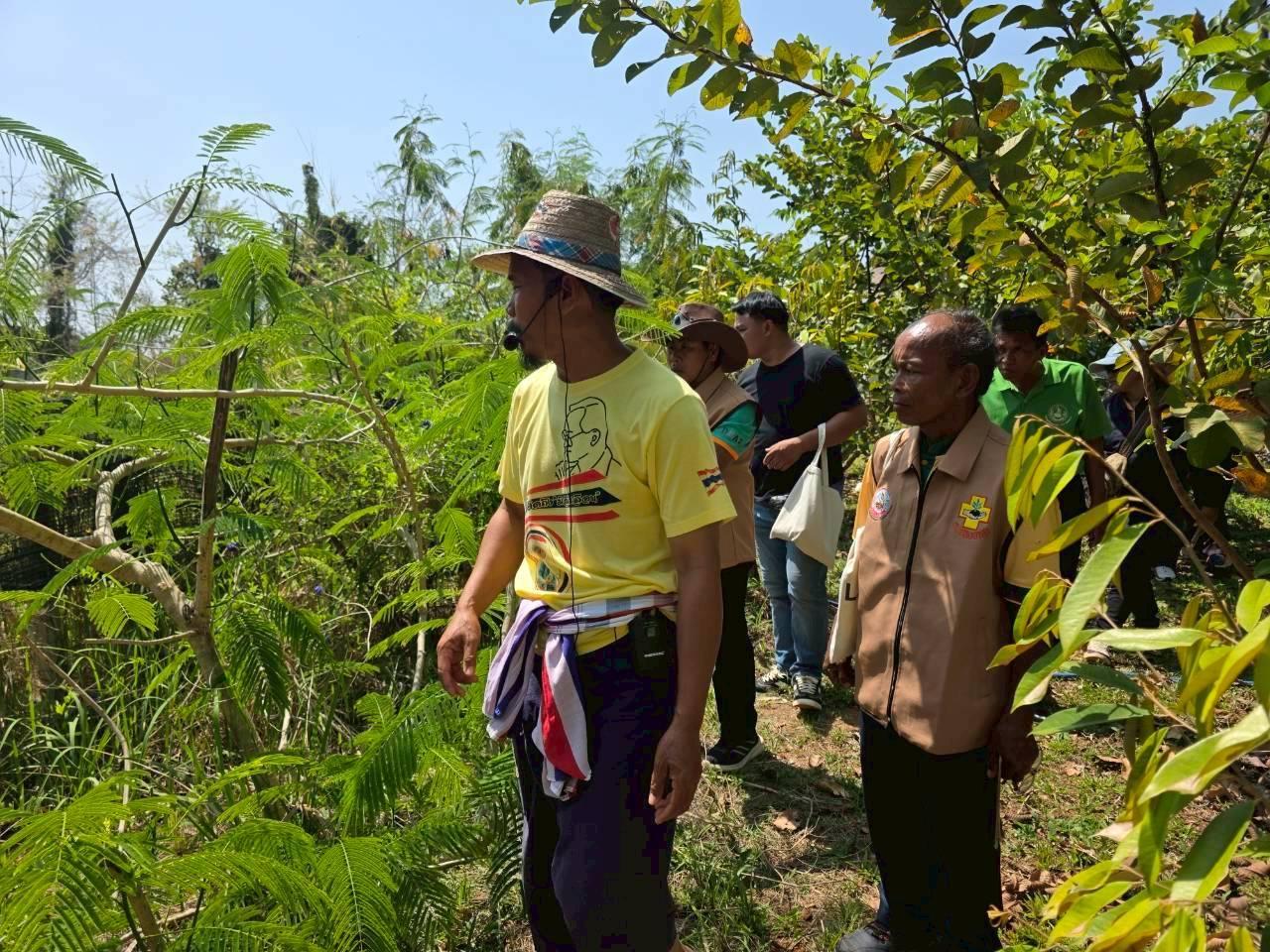 ภาพประกอบที่ 17