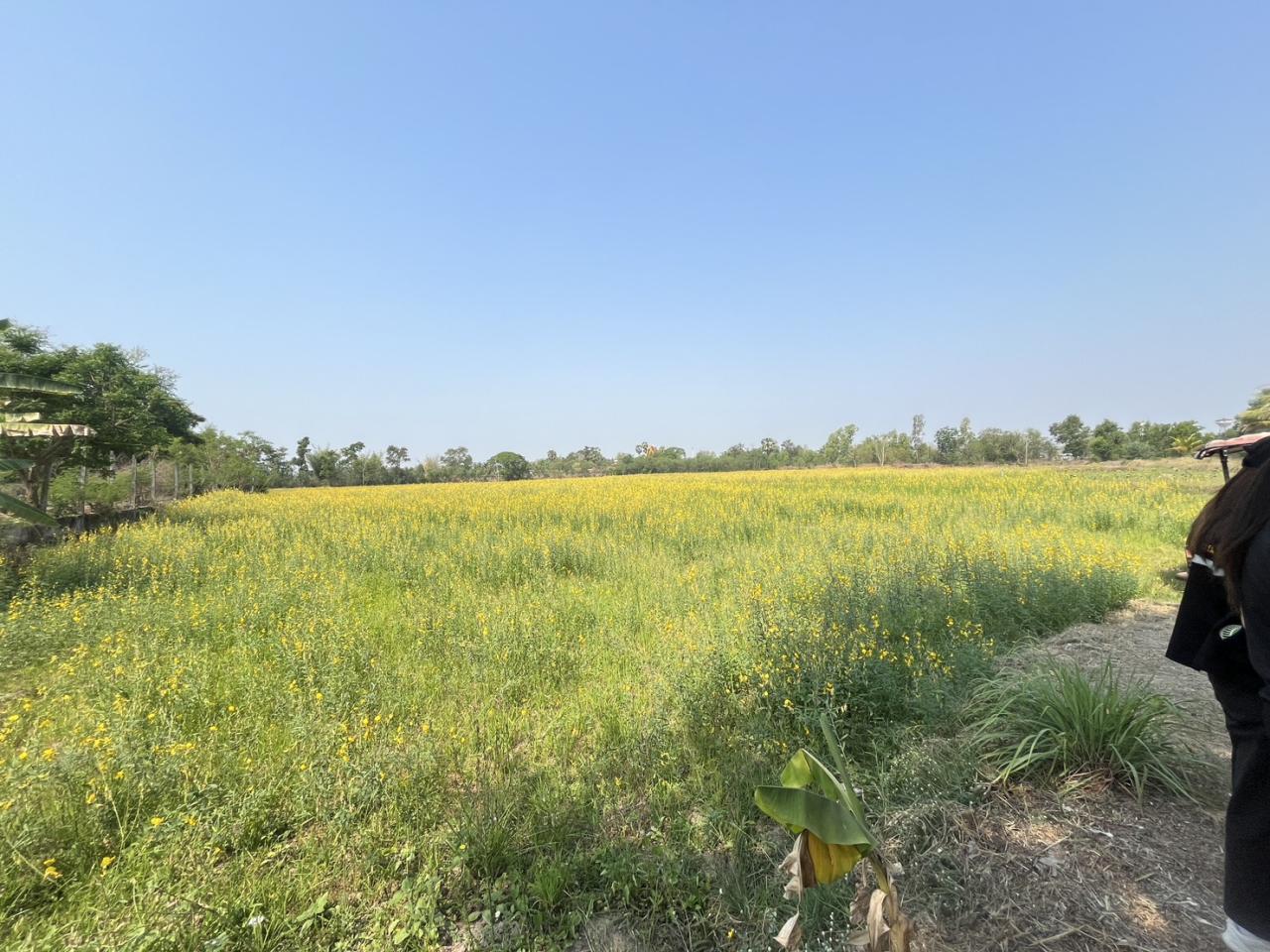 ภาพประกอบที่ 6