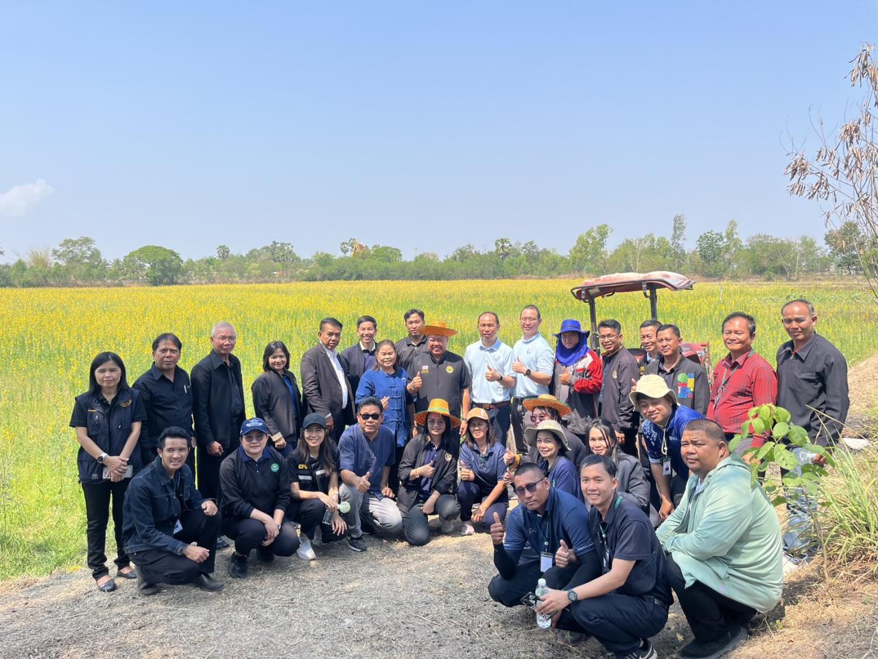 ภาพประกอบที่ 11