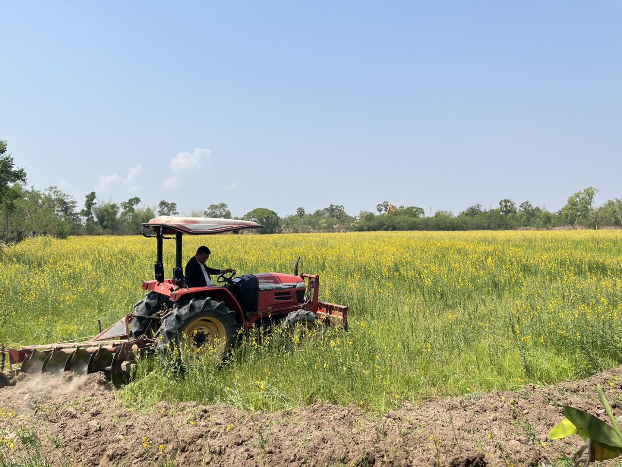 ภาพประกอบที่ 15