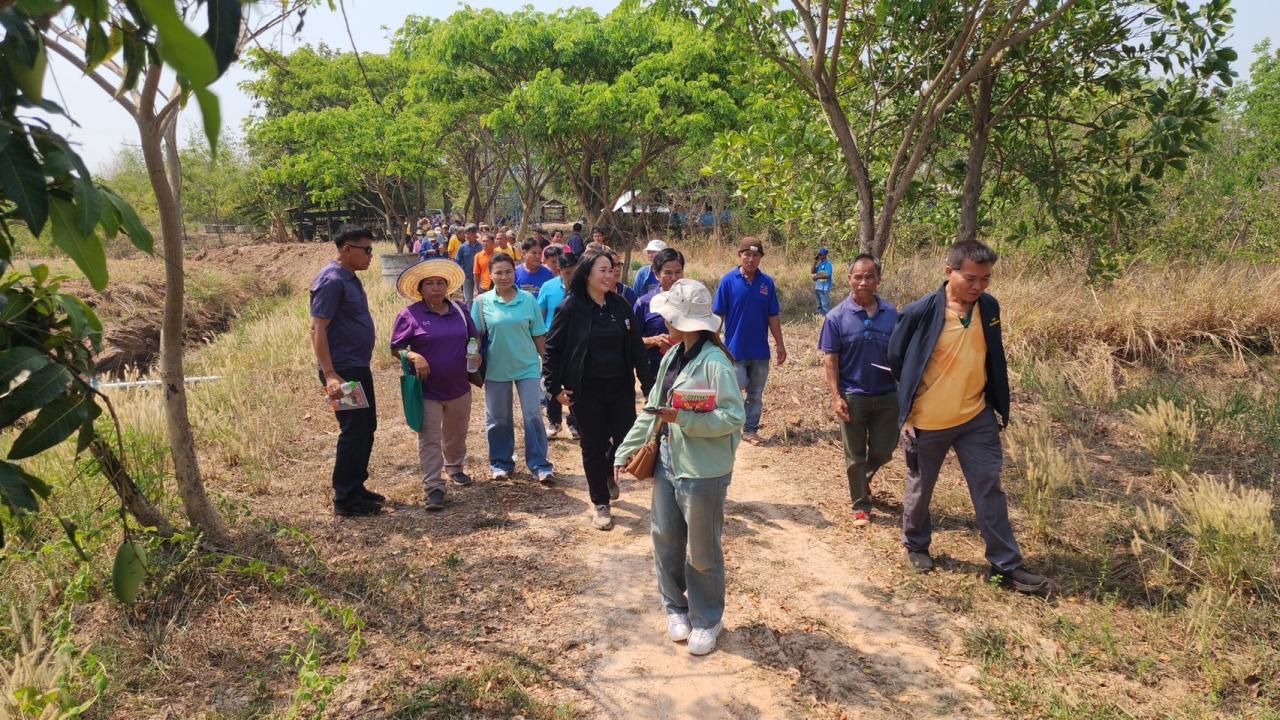 ภาพประกอบที่ 19