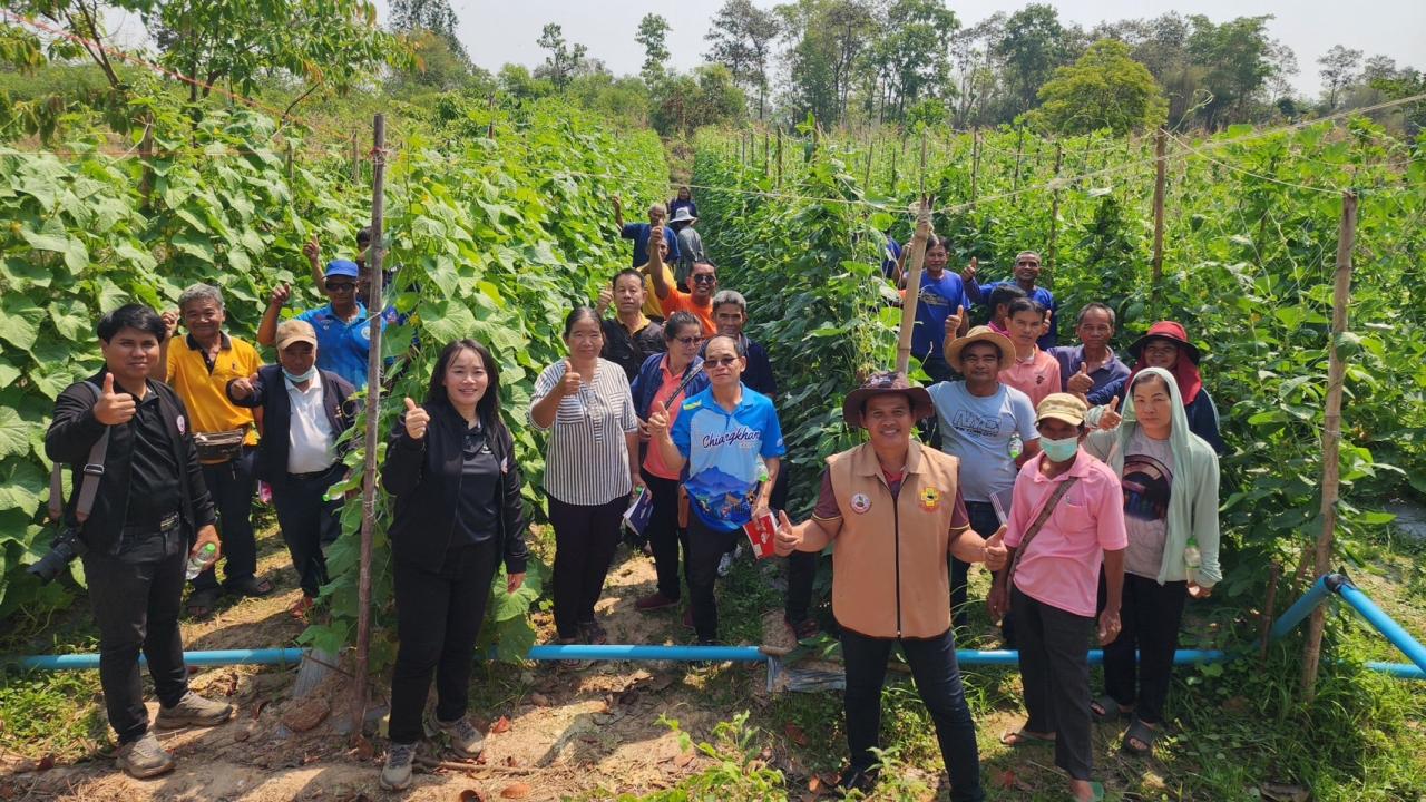 ภาพประกอบที่ 20