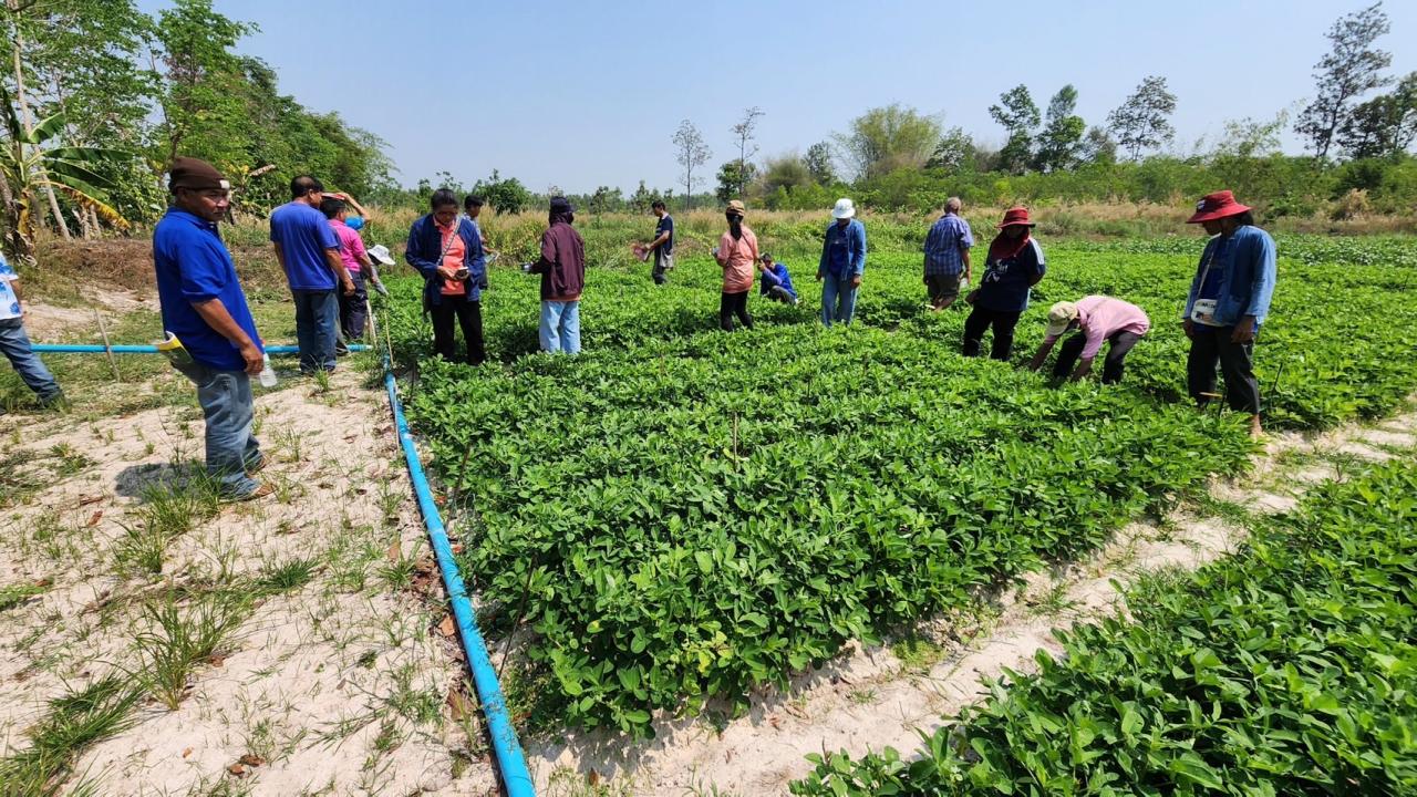 ภาพประกอบที่ 21