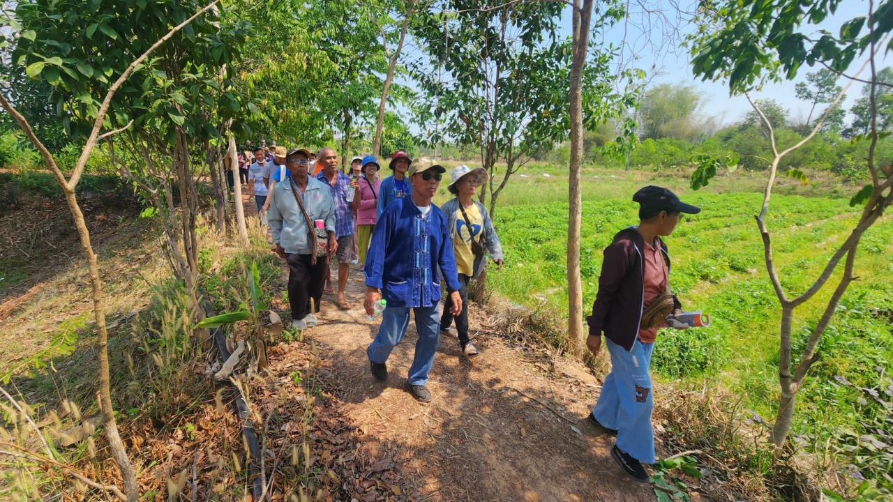 ภาพประกอบที่ 25