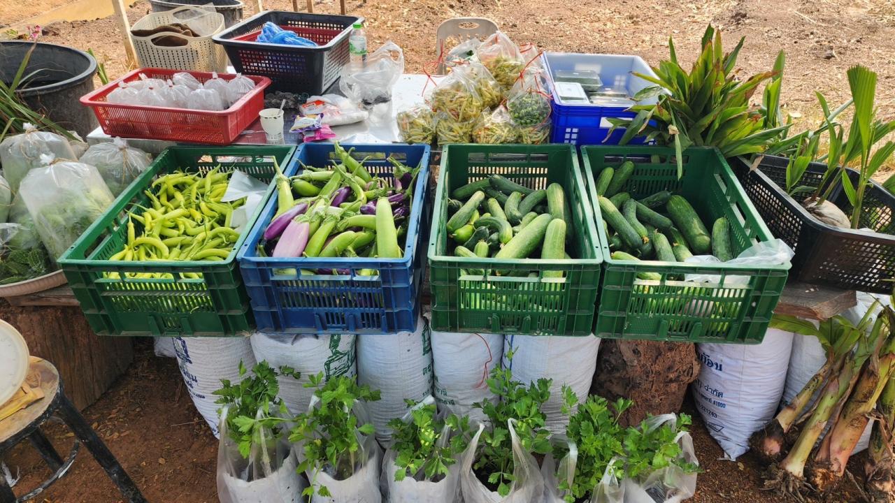 ภาพประกอบที่ 27