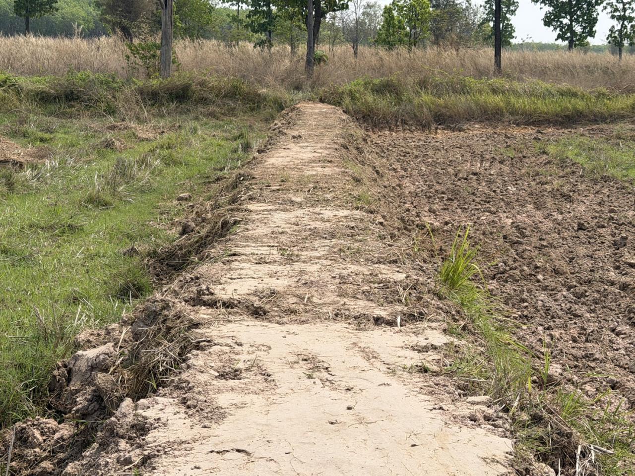 ภาพประกอบที่ 7