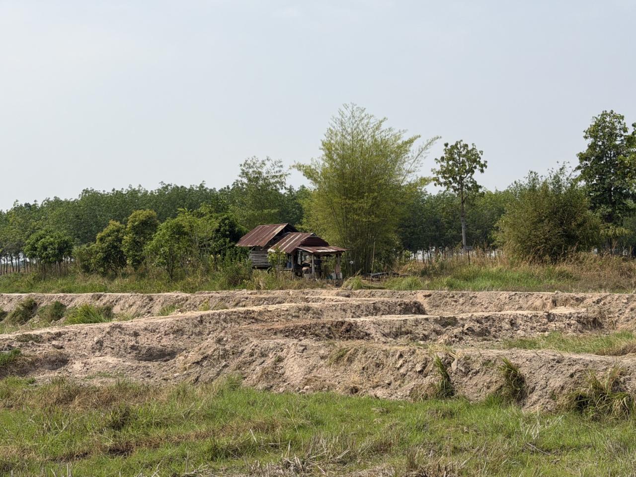 ภาพประกอบที่ 8