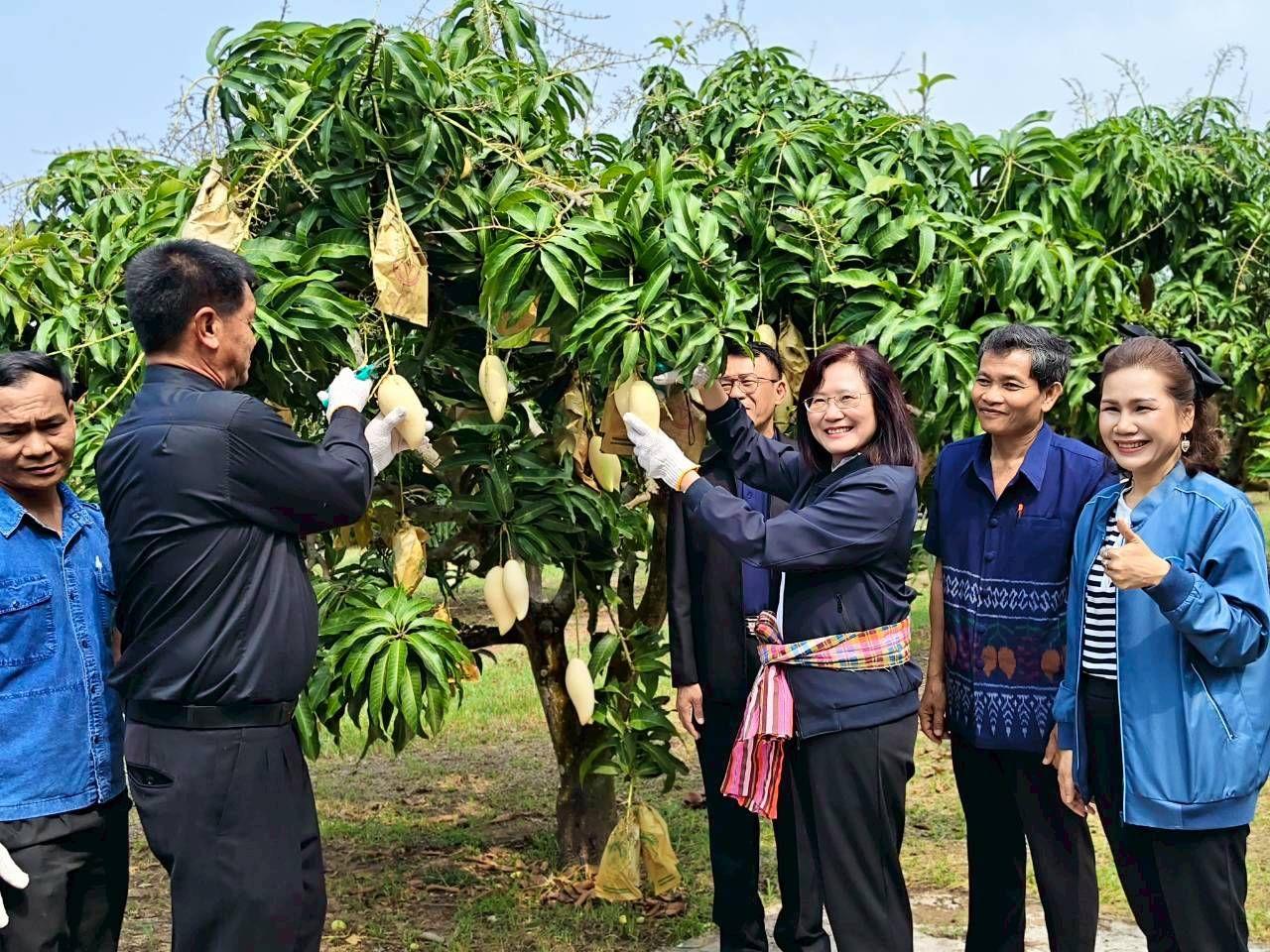 ภาพประกอบที่ 12