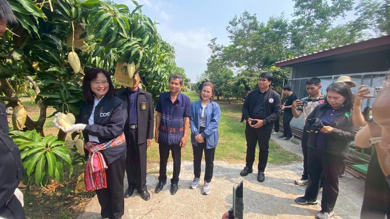 ภาพประกอบที่ 15