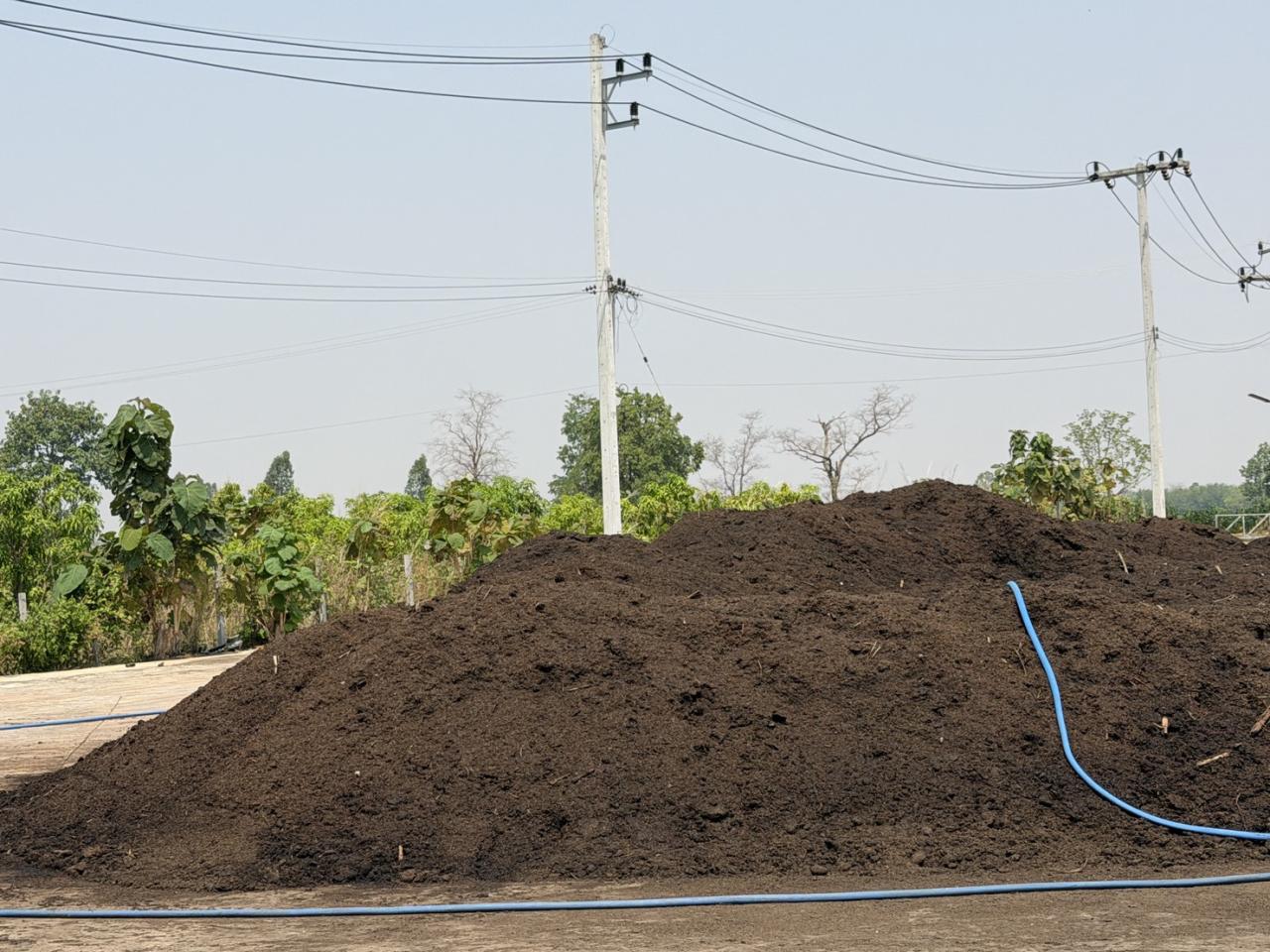 ภาพประกอบที่ 7