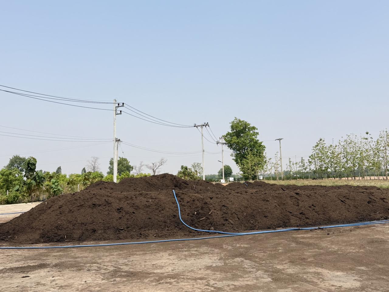 ภาพประกอบที่ 8