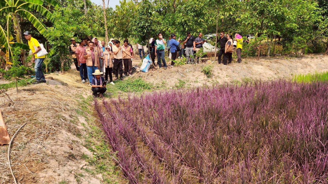 ภาพประกอบที่ 27