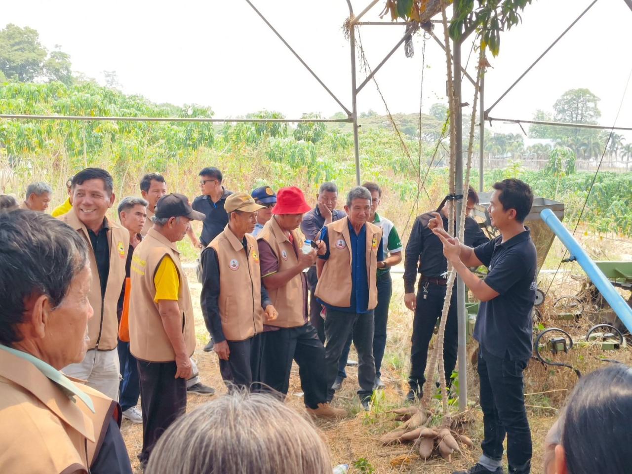 ภาพประกอบที่ 31