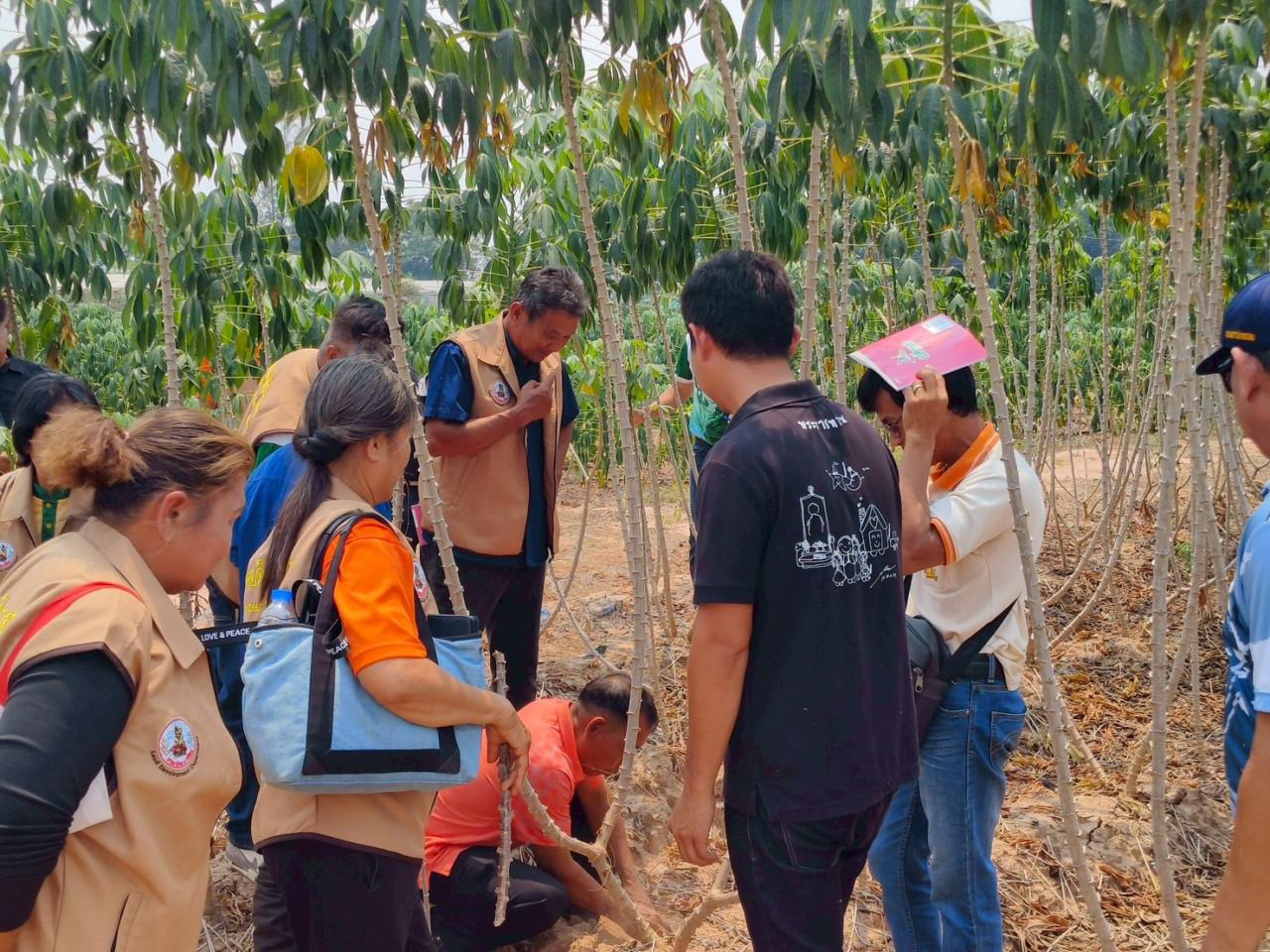 ภาพประกอบที่ 35