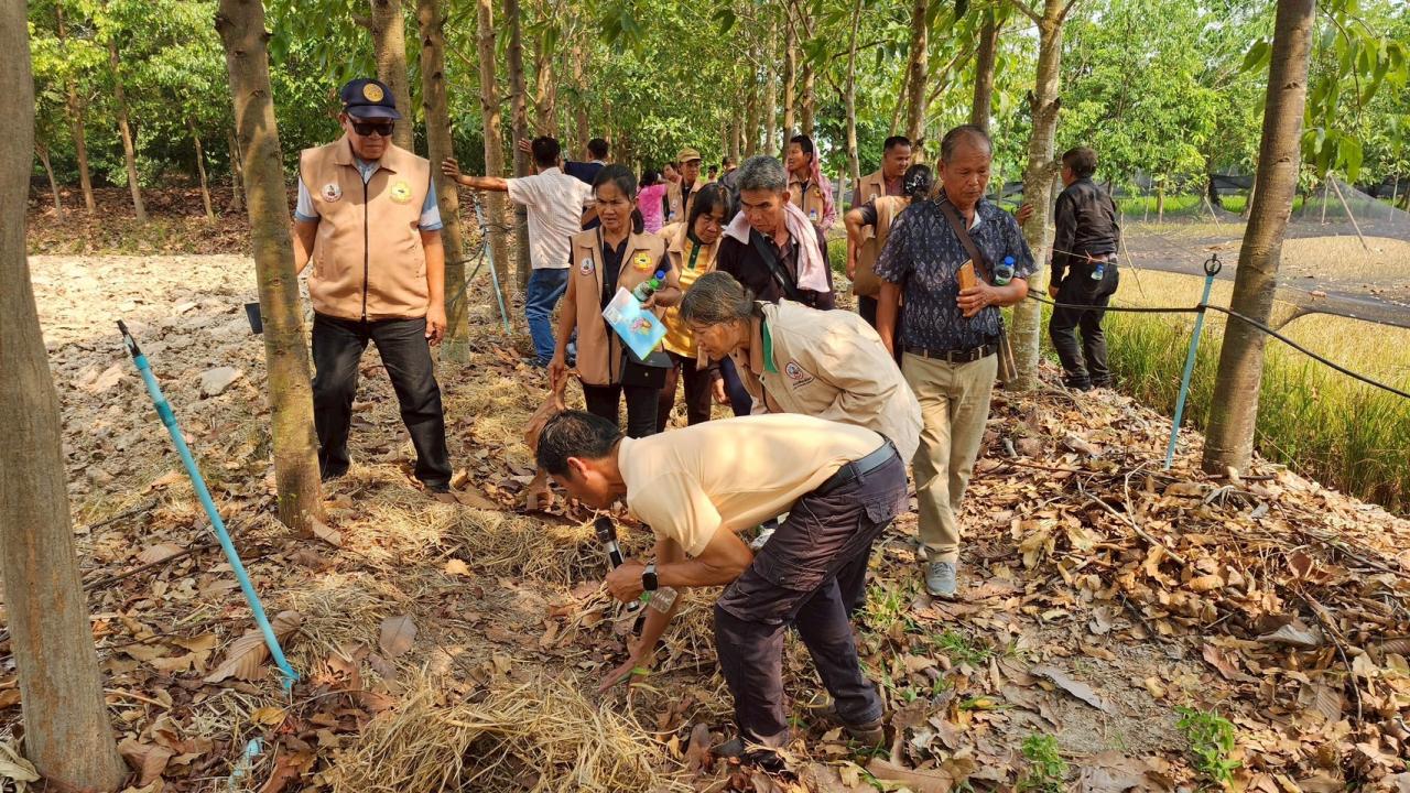 ภาพประกอบที่ 43