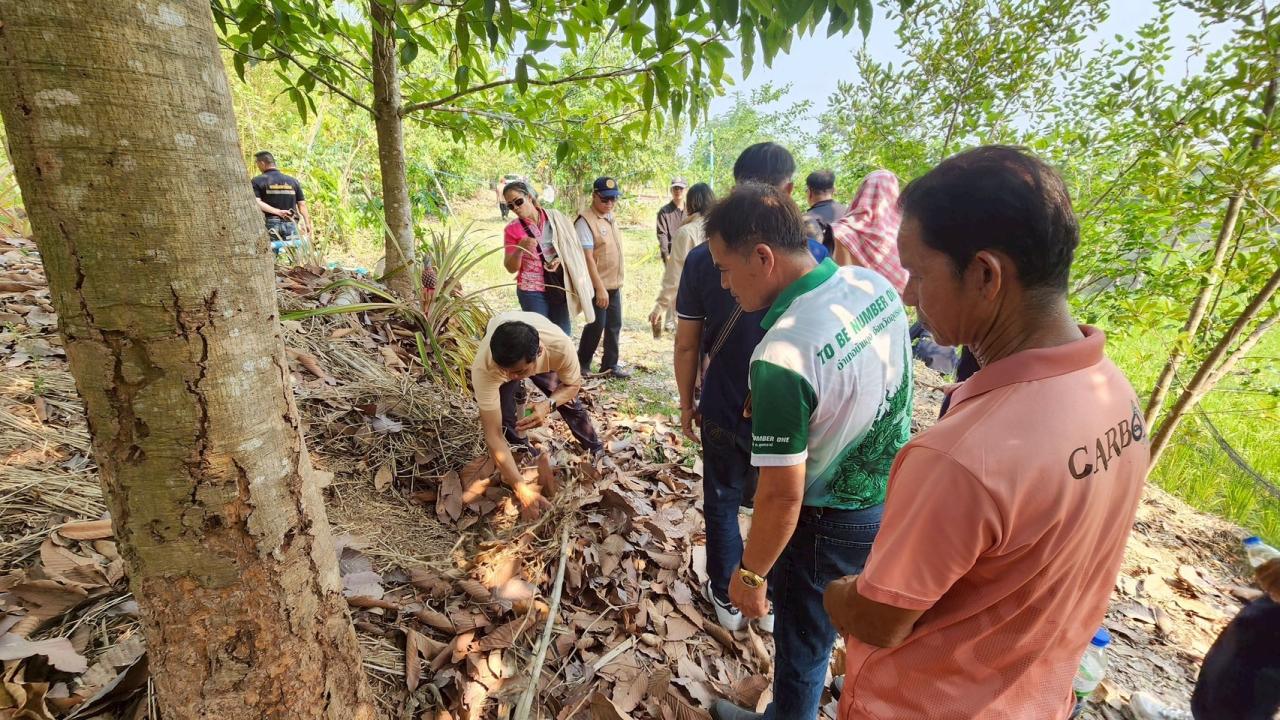 ภาพประกอบที่ 47