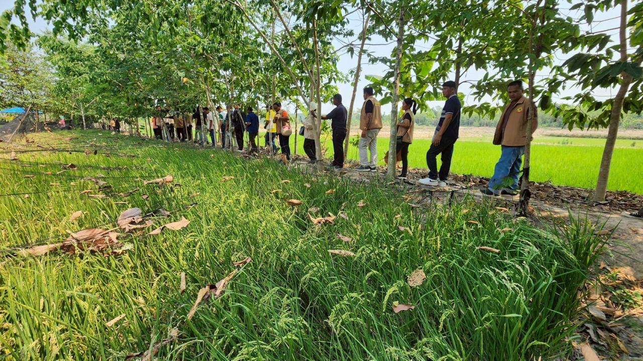 ภาพประกอบที่ 57