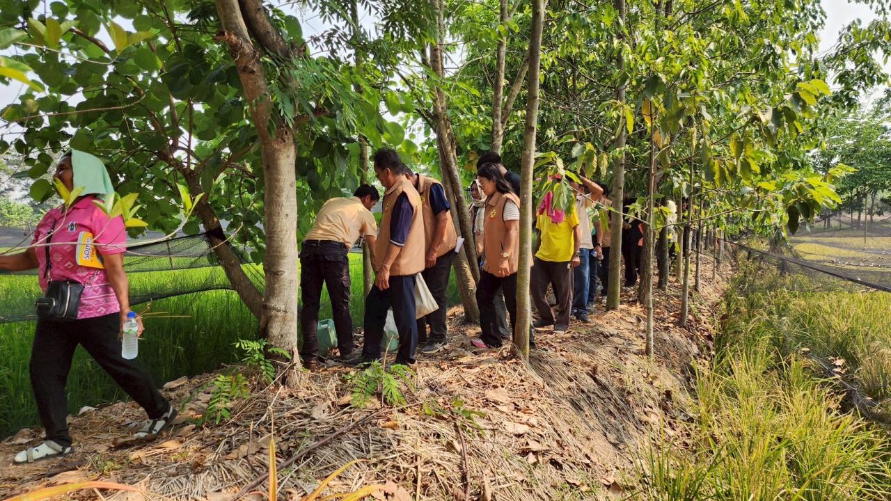 ภาพประกอบที่ 61