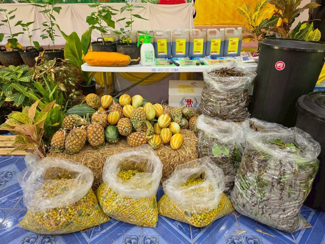 ภาพประกอบที่ 7