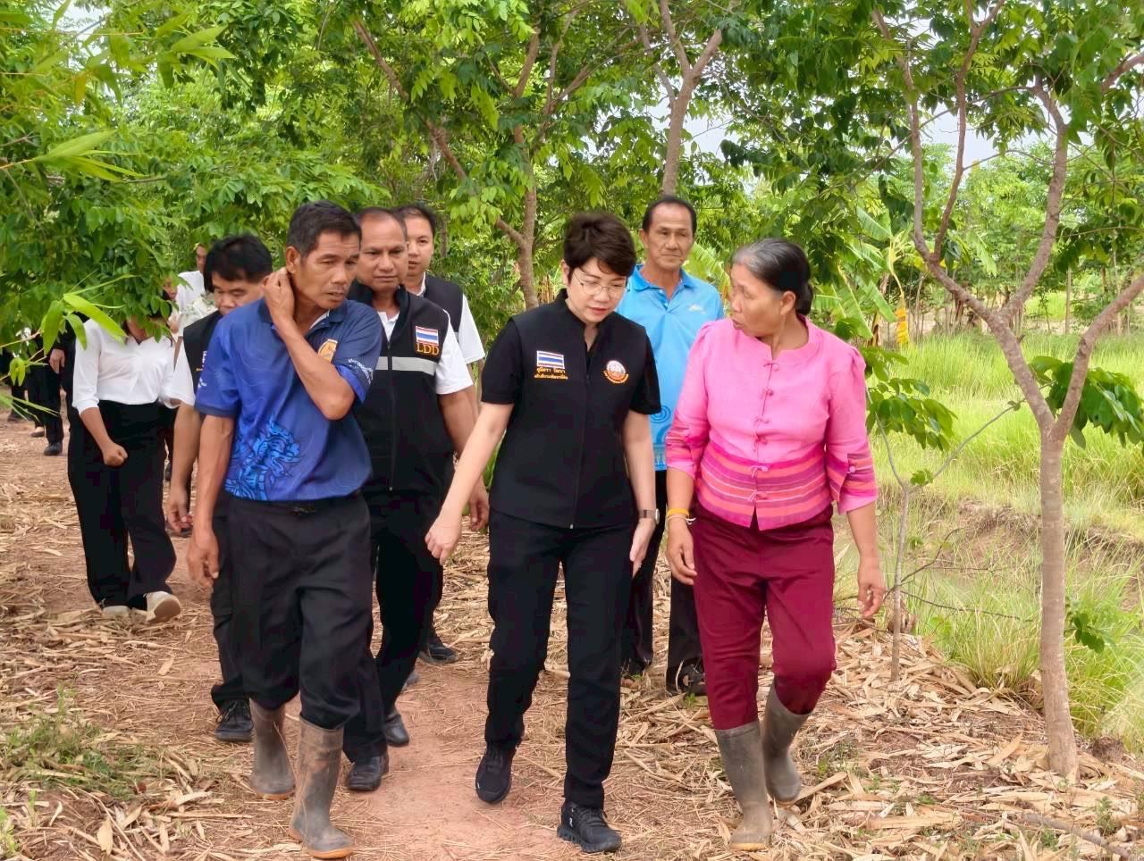 ภาพประกอบที่ 11