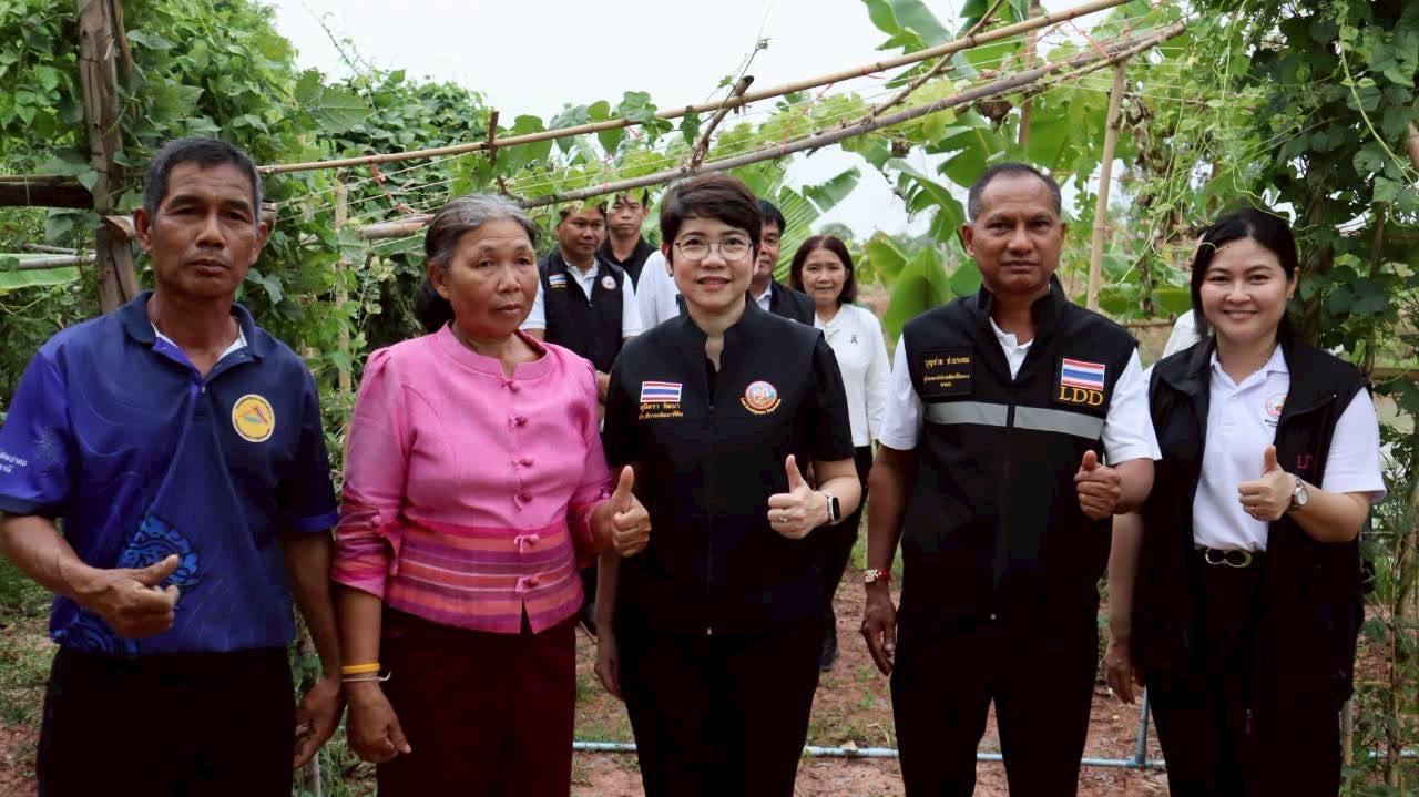 ภาพประกอบที่ 13