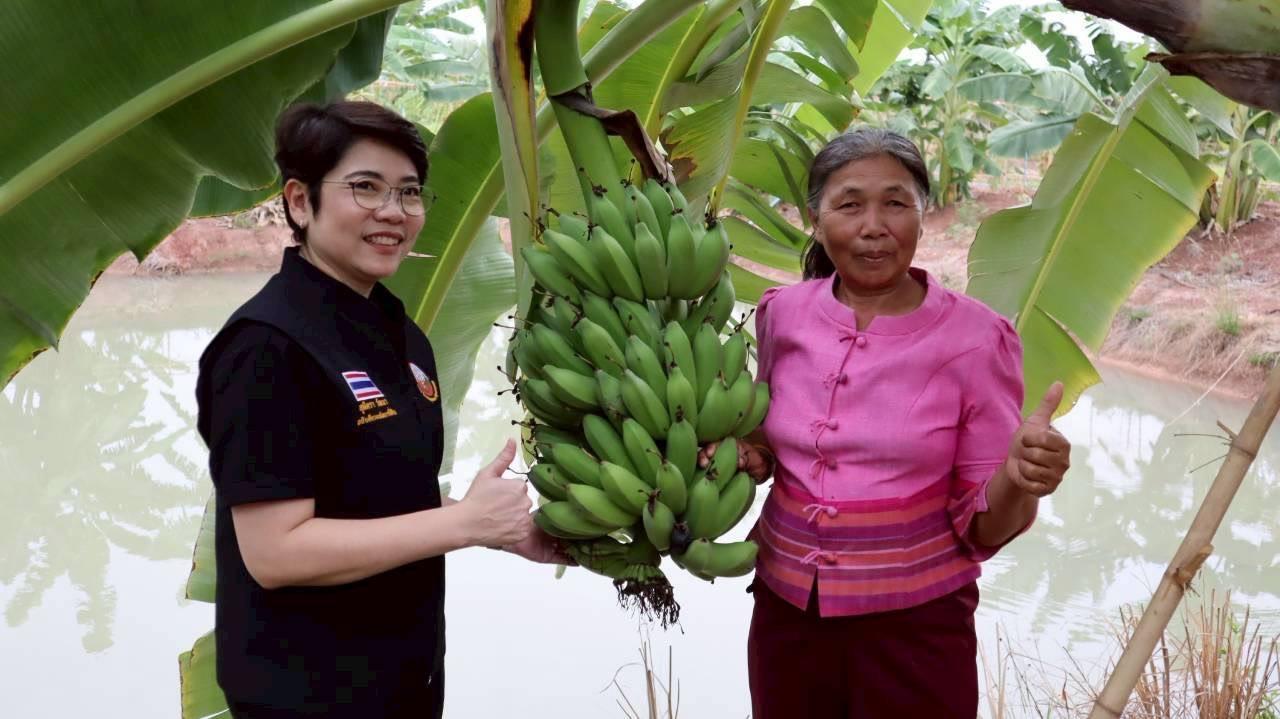 ภาพประกอบที่ 15