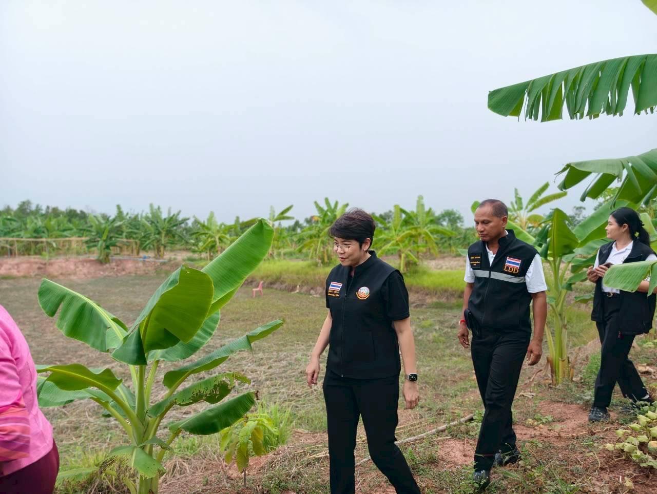 ภาพประกอบที่ 20