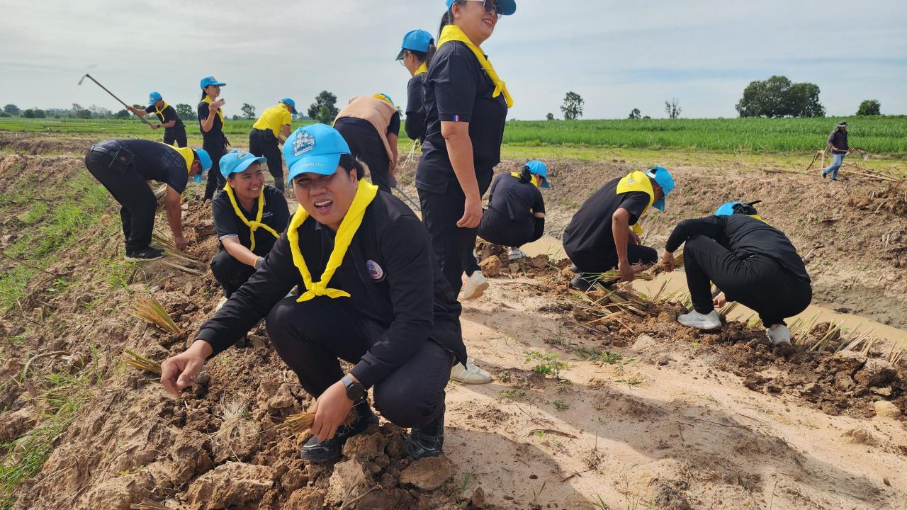 ภาพประกอบที่ 8