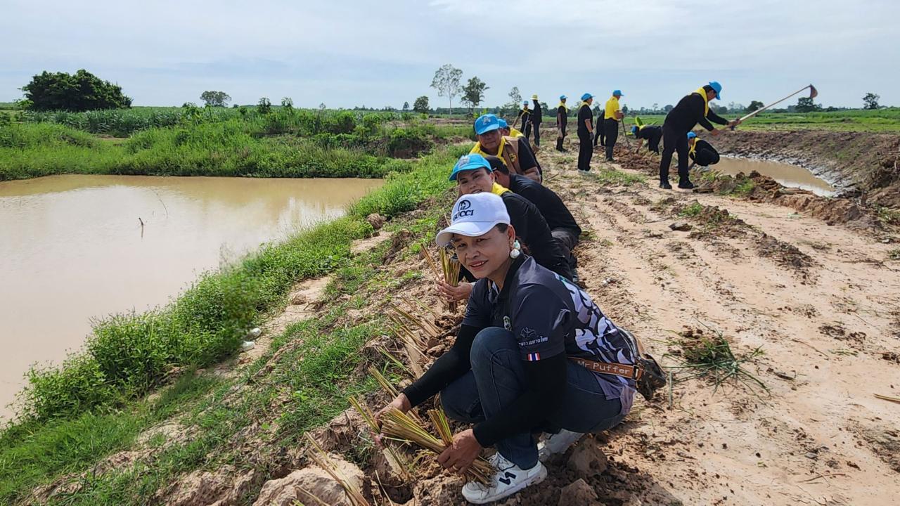 ภาพประกอบที่ 10