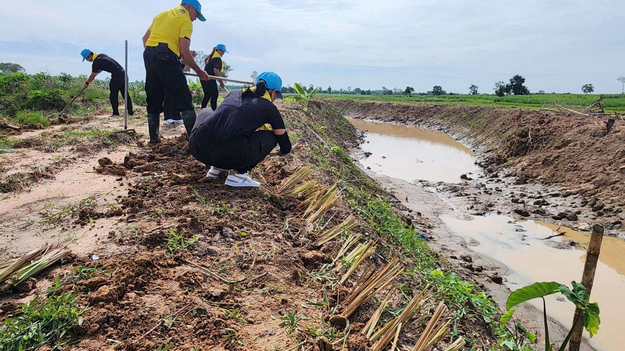 ภาพประกอบที่ 11
