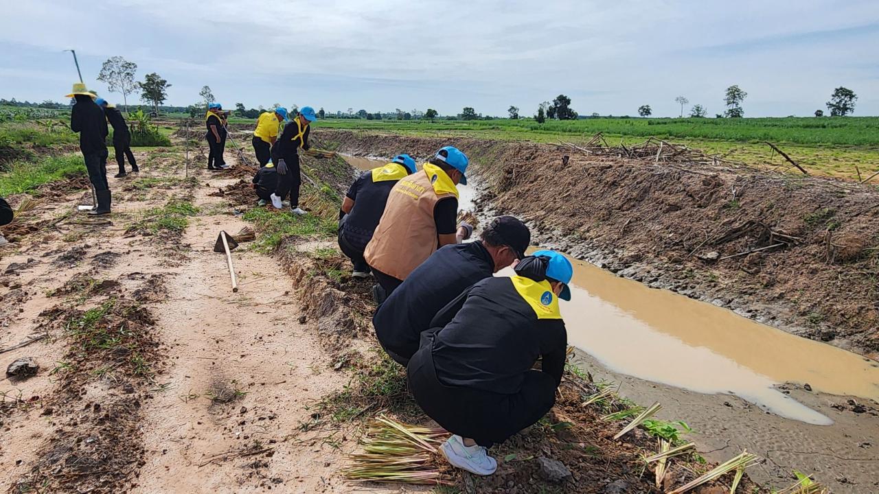 ภาพประกอบที่ 15