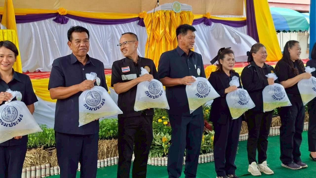 ภาพประกอบที่ 2
