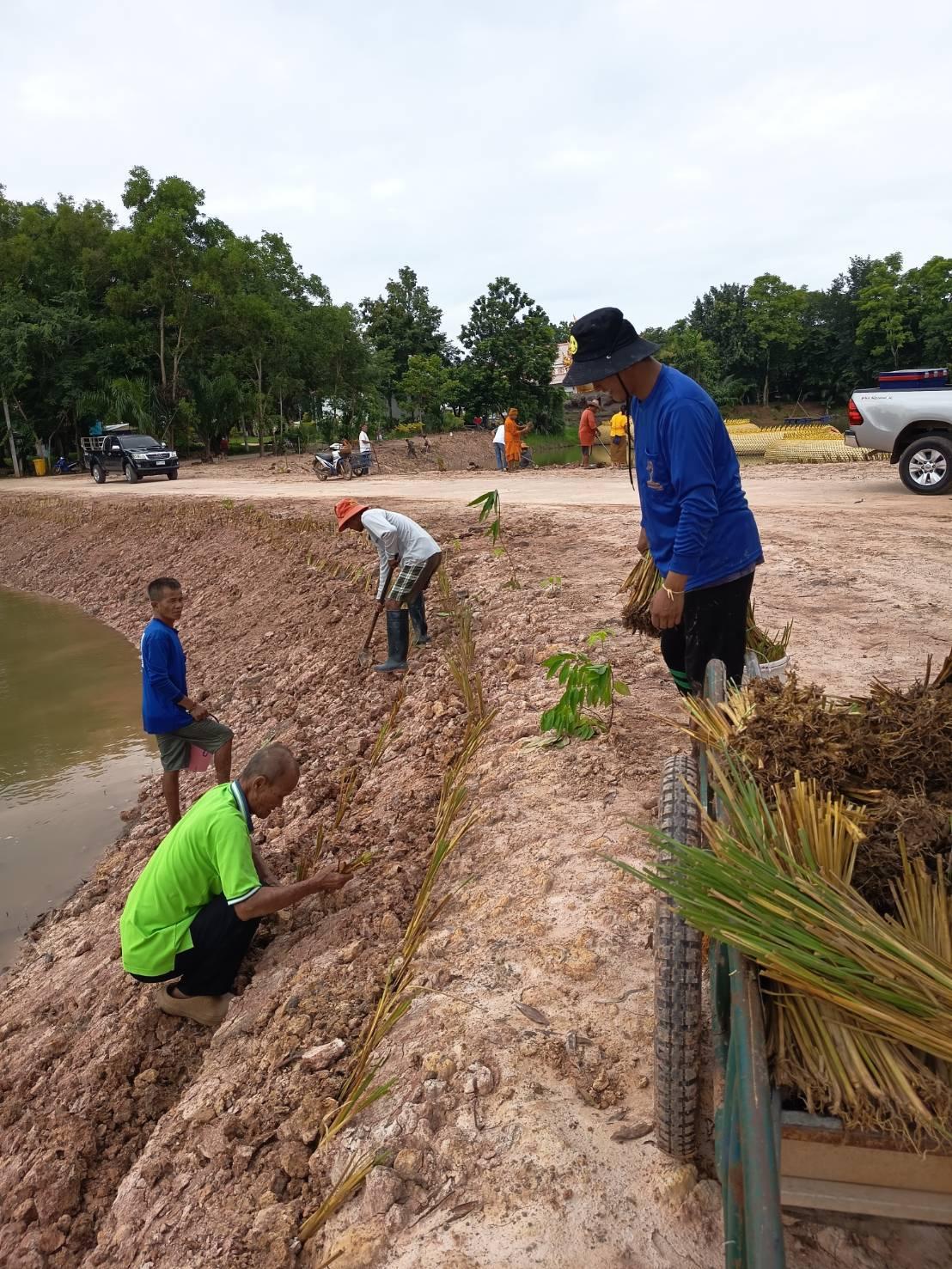 ภาพประกอบที่ 2