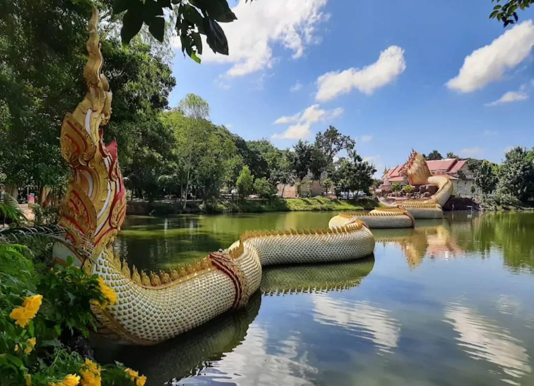 ภาพประกอบที่ 11