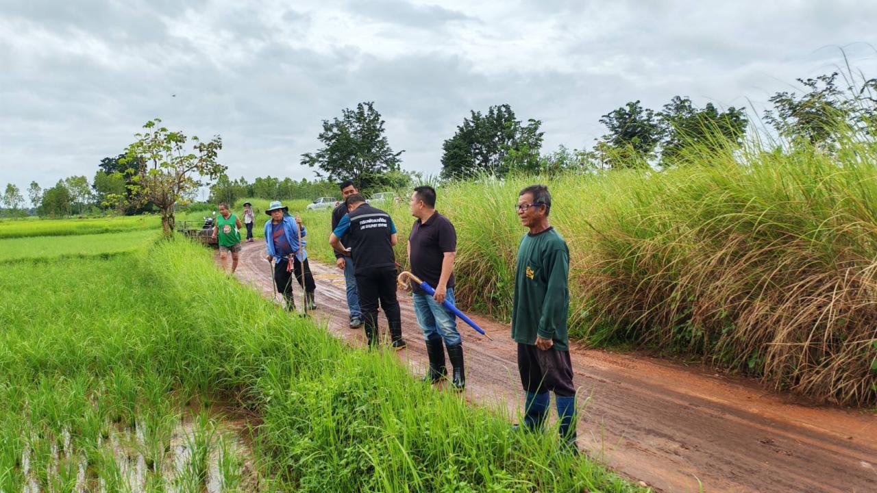 ภาพประกอบที่ 1