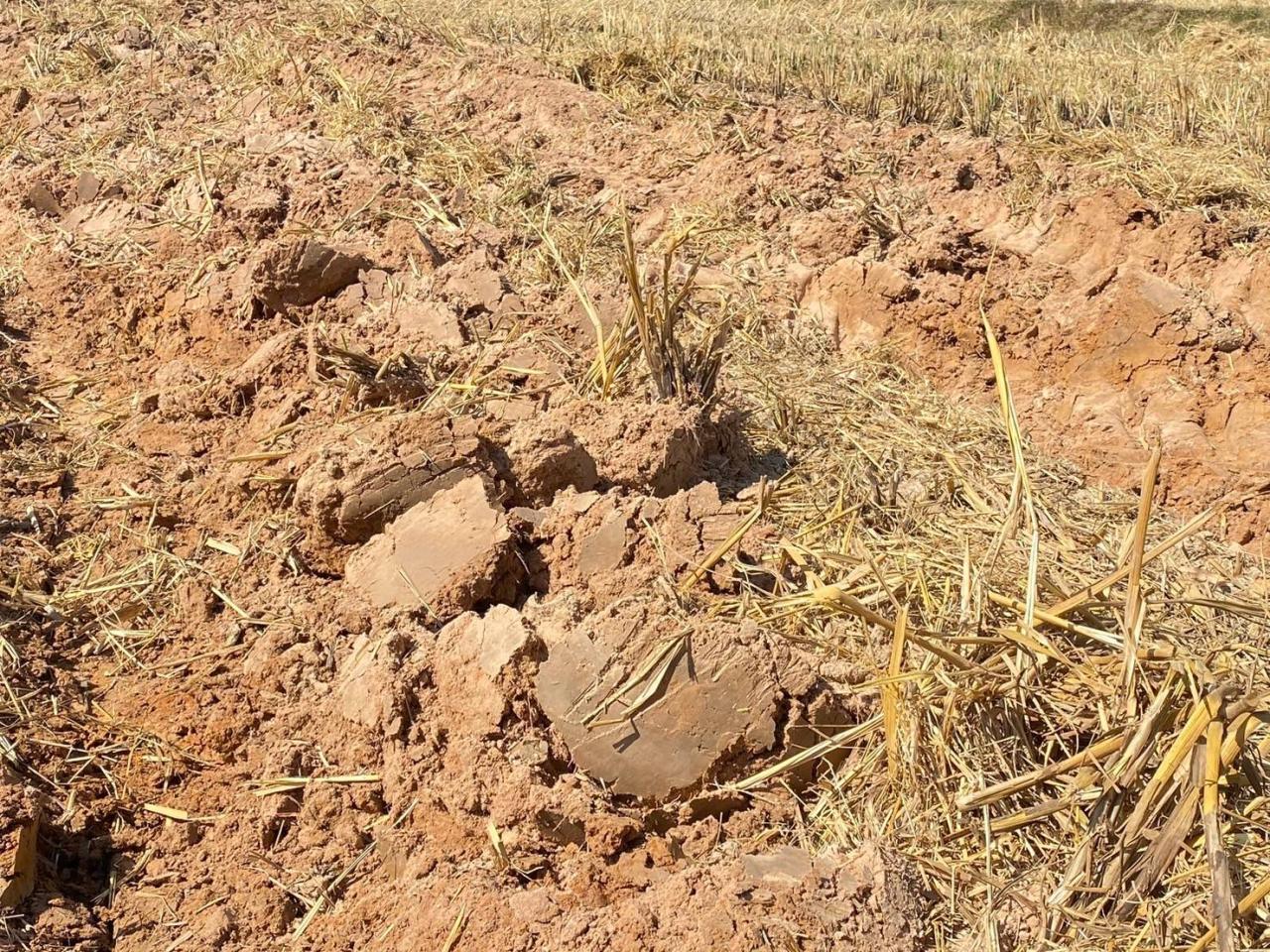 ภาพประกอบที่ 8