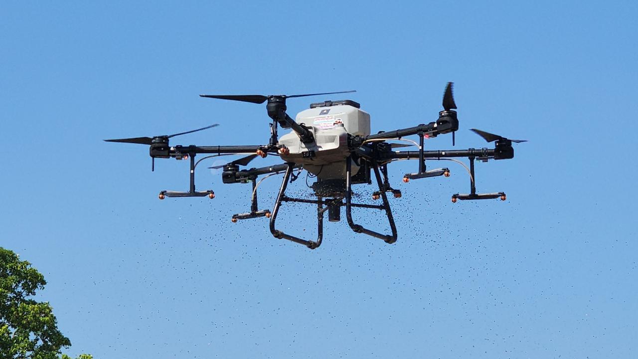 ภาพประกอบที่ 12