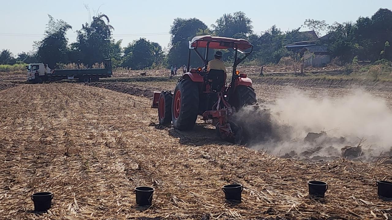 ภาพประกอบที่ 13