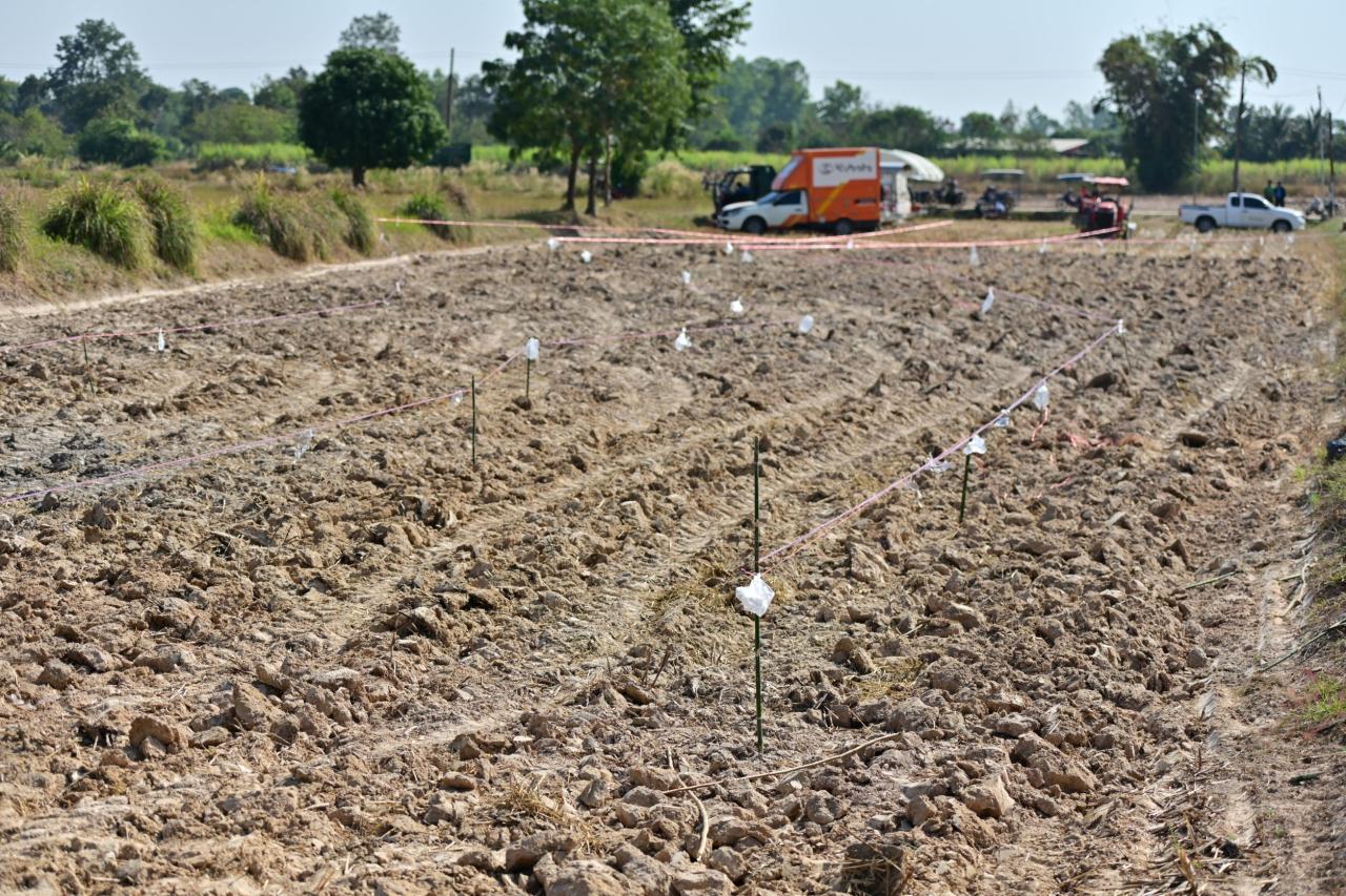 ภาพประกอบที่ 21