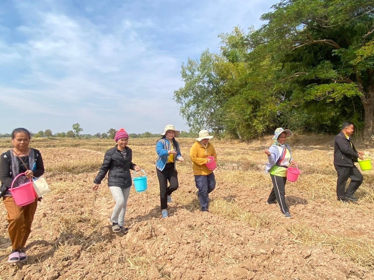 ภาพประกอบที่ 8