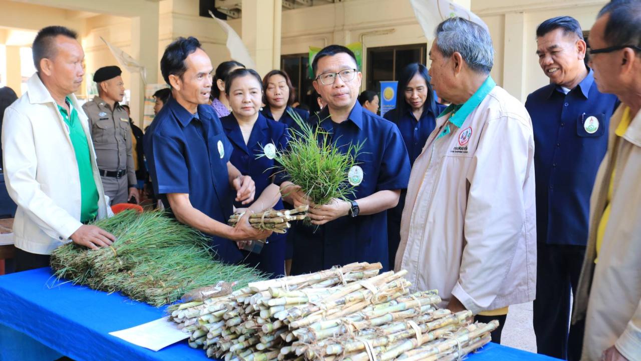 ภาพประกอบที่ 53
