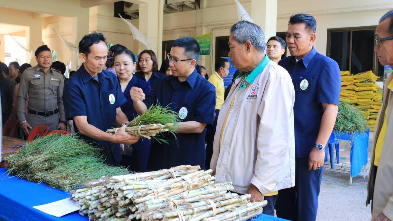 ภาพประกอบที่ 54