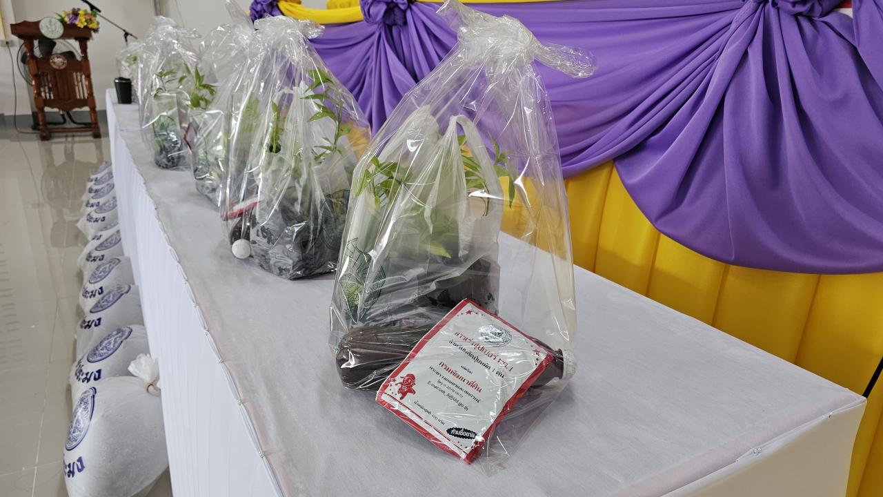 ภาพประกอบที่ 3