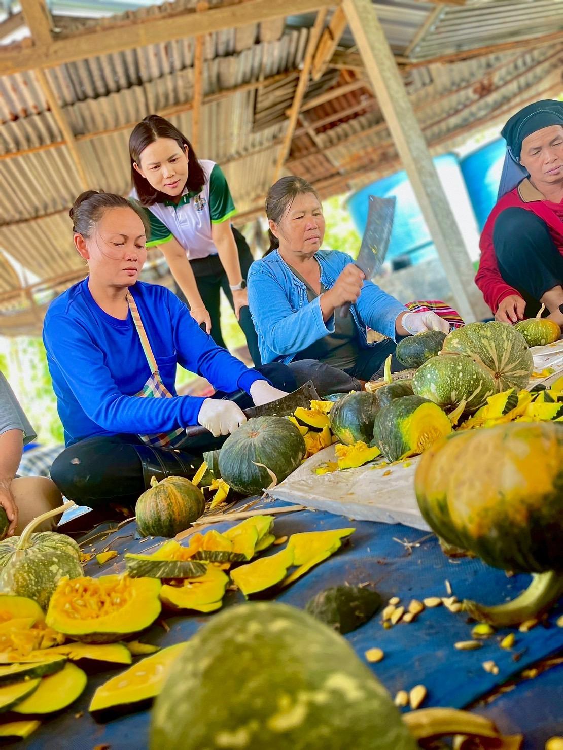 ภาพประกอบที่ 13