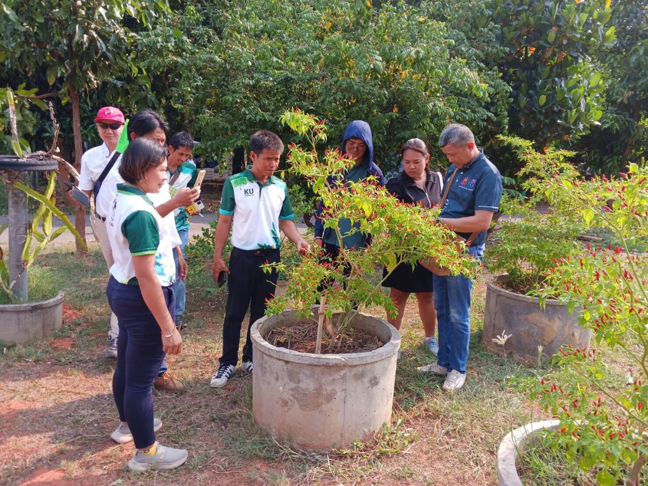 ภาพประกอบที่ 2