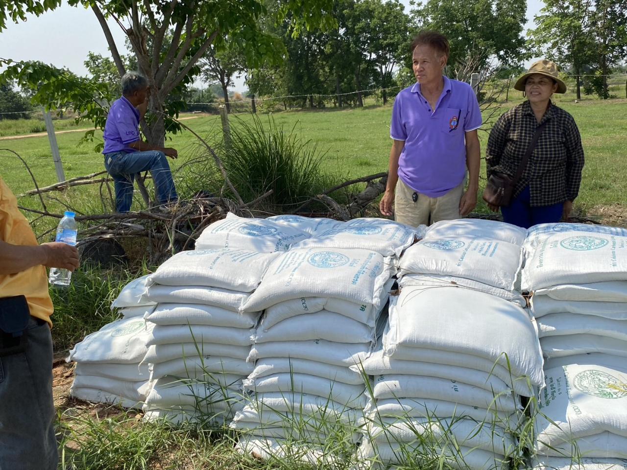 ภาพประกอบที่ 7