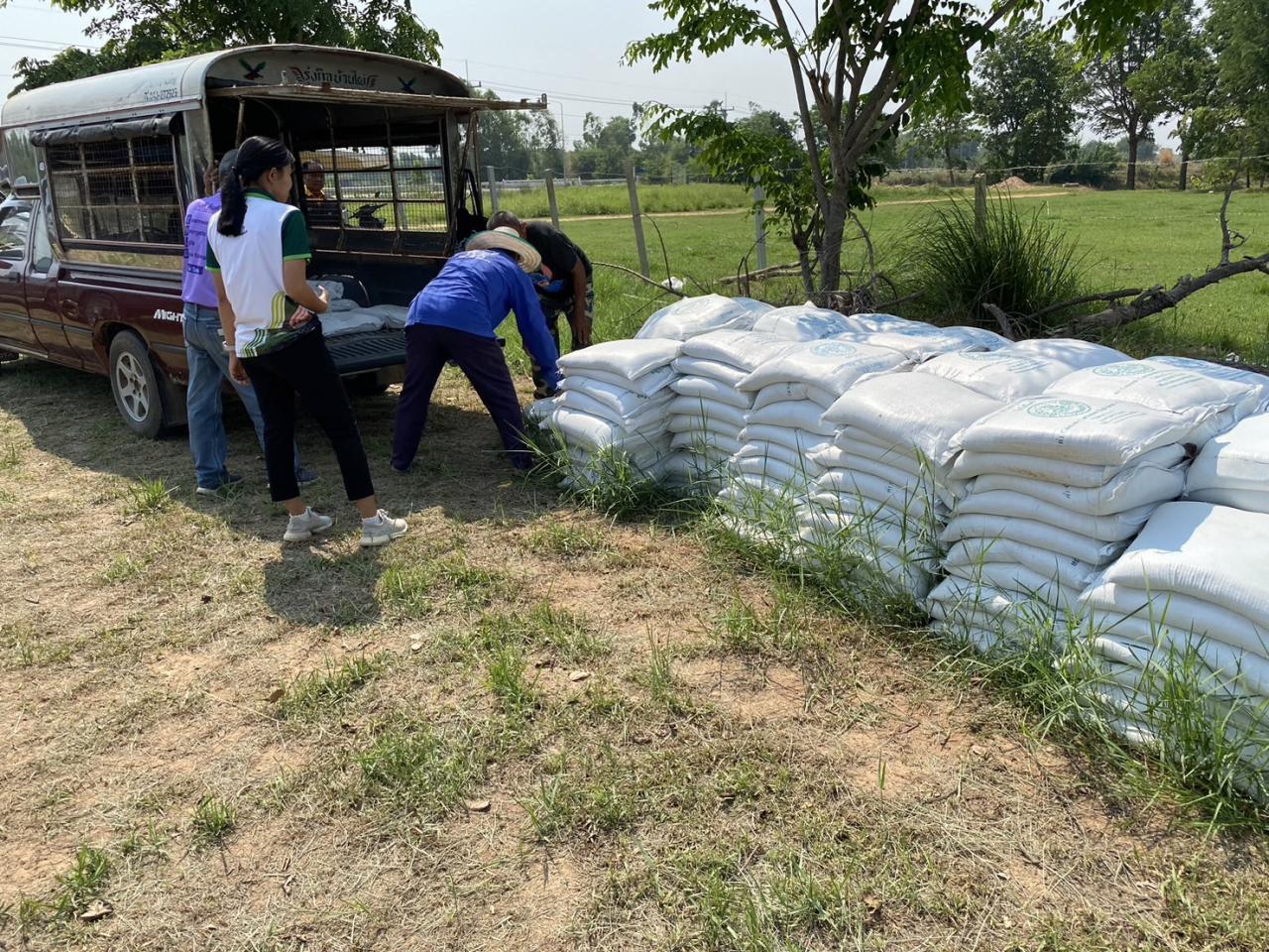 ภาพประกอบที่ 10