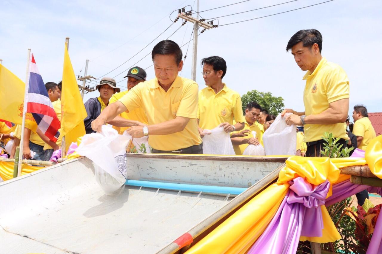 ภาพประกอบที่ 8