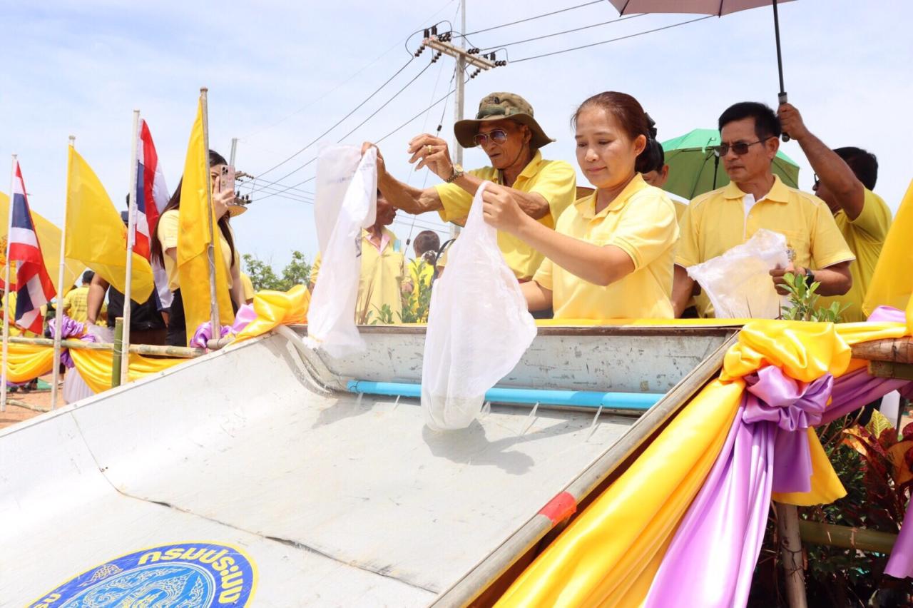 ภาพประกอบที่ 10