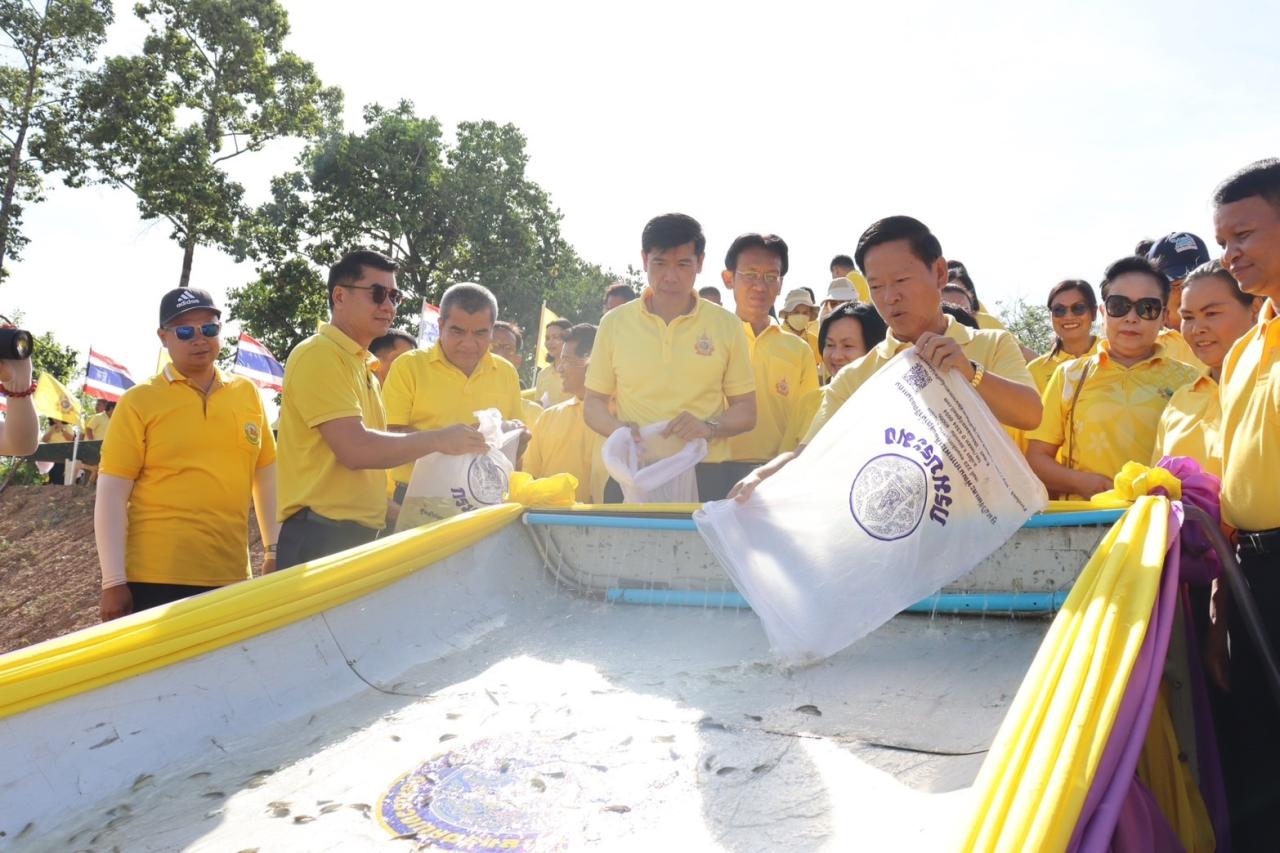 ภาพประกอบที่ 17